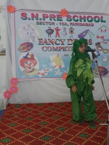 Fancy Dress Competition held in Sant Nirankari Pre School on 6 october 2016 (10)